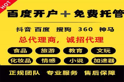 专业SEM托管：企业广告投放的明智之选